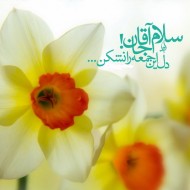 امام زمان (عج)