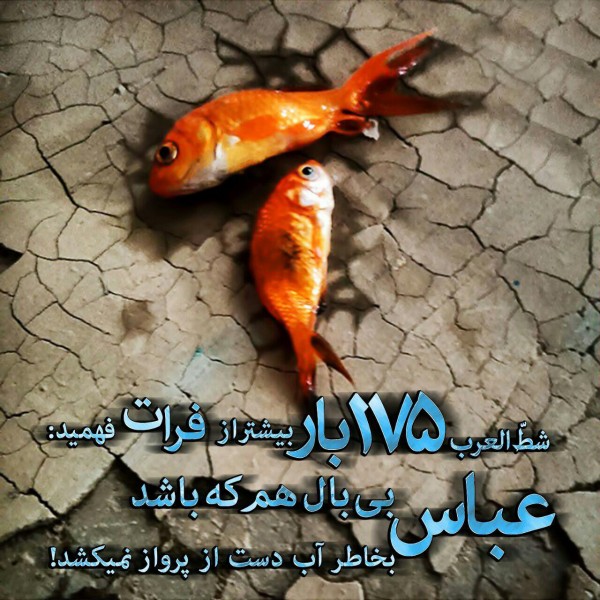 ۱۷۵ شهید غواص