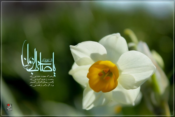 یا صاحب الزمان (عج)