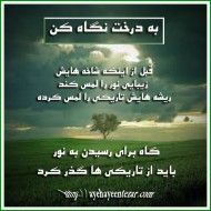 به درخت نگاه کن…