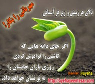 مهربانی را بکار