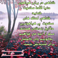 عکس نوشته