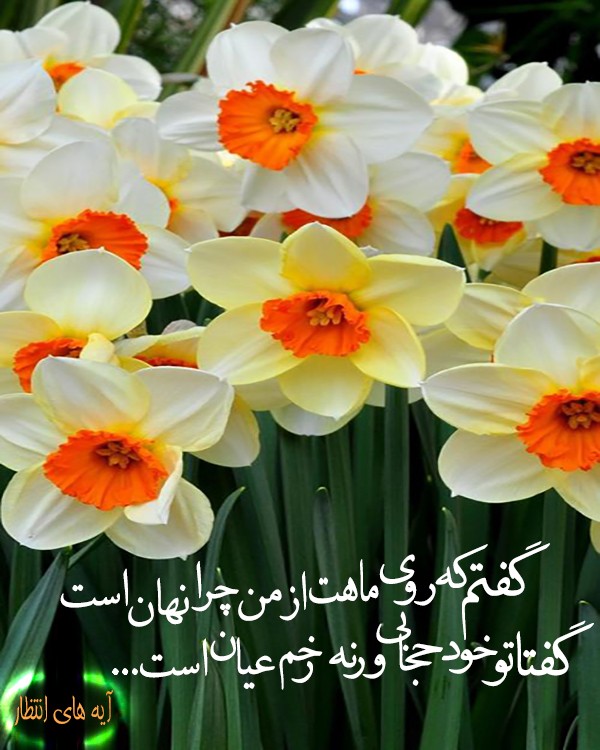 گفتا تو خود حجابی…