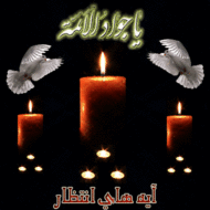 شهادت امام جواد(ع)